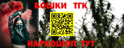 гашик Новодвинск