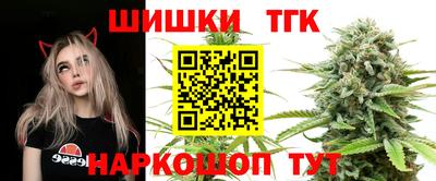 гашик Новодвинск