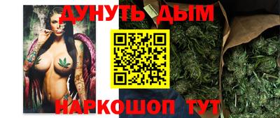 гашик Новодвинск