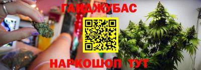 гашик Новодвинск