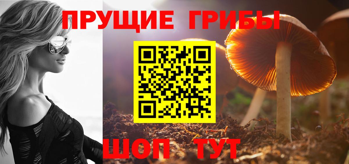 Псилоцибиновые грибы мухоморы Сорочинск